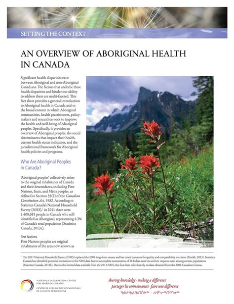 An Overview Of Aboriginal Health In Canada