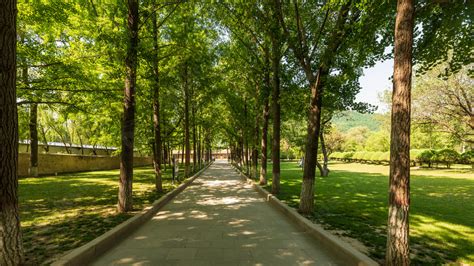 Green Park Outdoor Light And Shadow Morning Sights Powerpoint