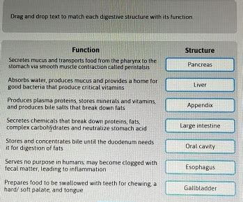 Solved Drag And Drop Text To Match Each Digestive Structure With Its