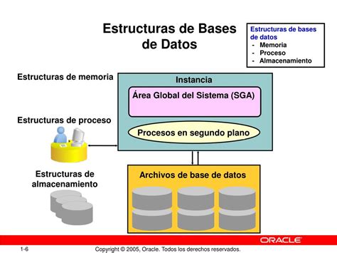 Oracle Estructura De Datos Hot Sex Picture