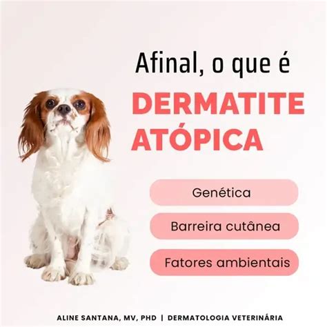 Dermatite Atopica Canina Saiba Tudo Sobre A Doença