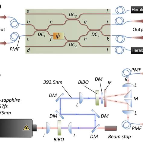 Heralding Multi Photon Path Entangled States In A Photonic Chip A