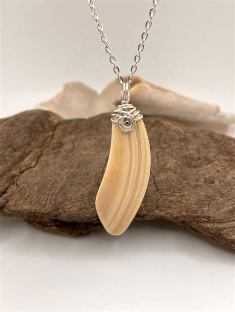 Real Striped Seashell Necklace Wire Wrapped Shell Pendant Beach