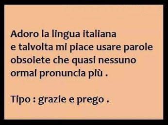 Pin Di Daniela Savoi Su Divertenti Citazioni Parole Pensieri Positivi