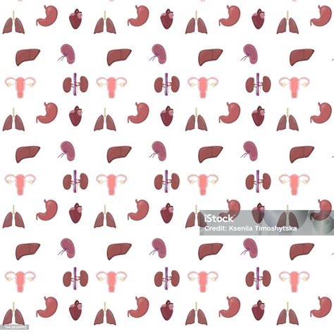 healthy organs pattern stock illustration  image