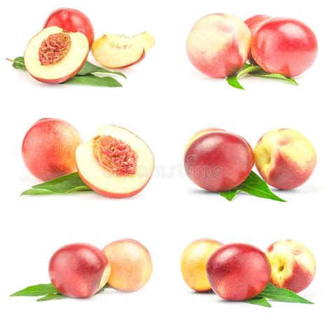 Collage Of Beautiful Ripe Peaches On A Isolated White Background Stock