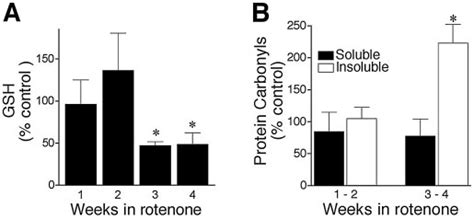 Chronic Rotenone Treatment Caused Delayed Oxidative Damage A Chronic