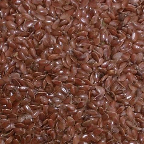 Alsi Seeds at Rs 120/kilogram | Alsi Seeds in Nagpur | ID: 14018819555