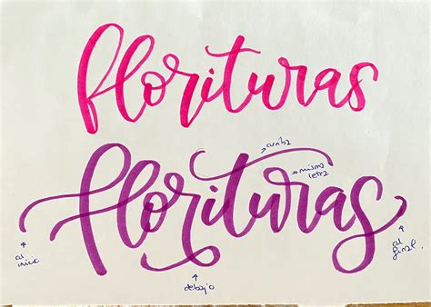 Florituras en Lettering Cómo Añadir este adorno