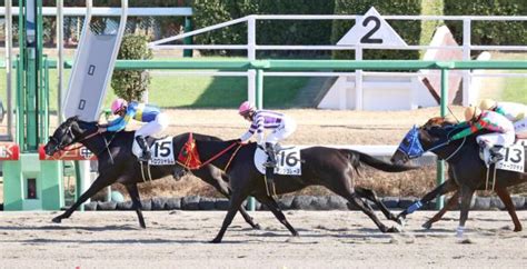 有馬記念当日の中山7rで超高額配当 3連単864万8760円 競馬ニュース Netkeiba