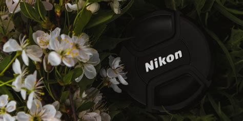 Best Nikon Cameras (Updated 2020)