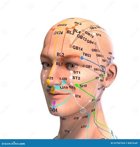 Face Acupressure Points Chart