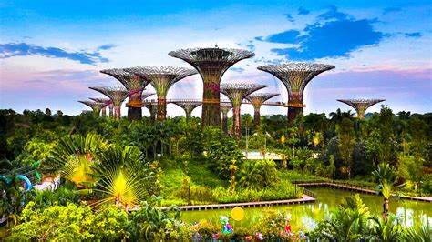 Photo Singapore Gardens by the Bay Nature Pond Trees 1920x1080