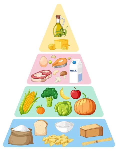 Principais Grupos Alimentos Ilustração Vetorial Macronutrientes Vetor