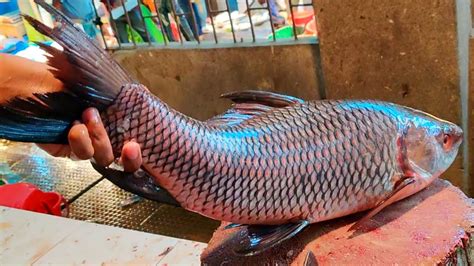 Amazing Cutting Skills Big Rohu Fish Skinning Chopping By Expert