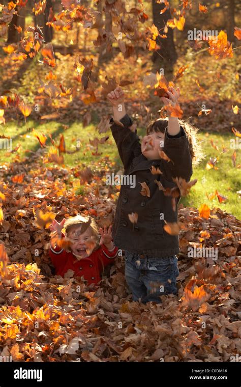 Kids playing in the fall leaves Stock Photo - Alamy