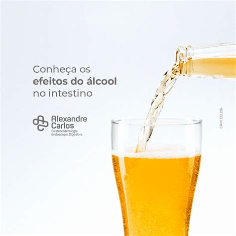 Conheça os efeitos do álcool no intestino Dr Alexandre Carlos