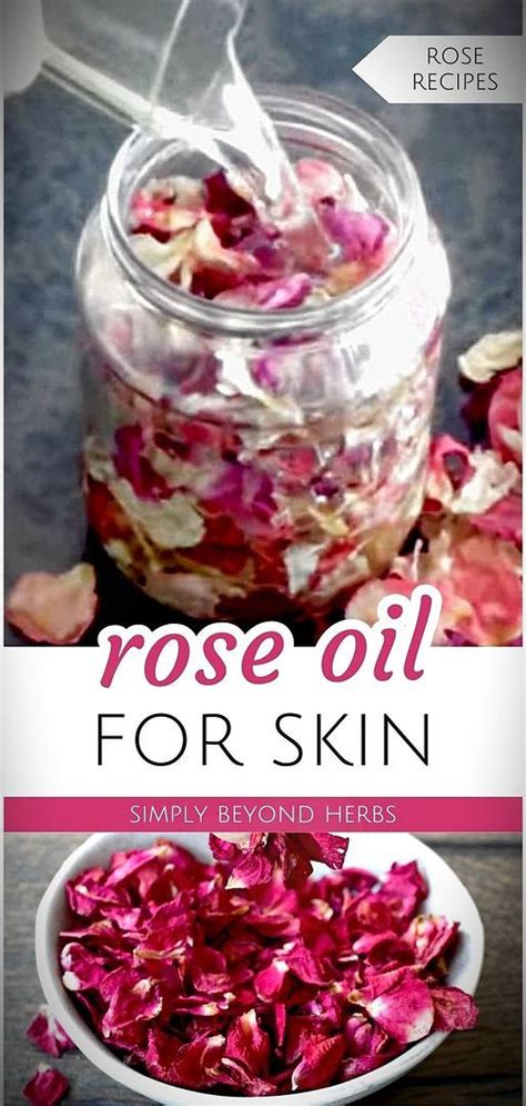 Diy Rose Oil For Skin And Hair Recipe In 2024 Rose Recipes Rose