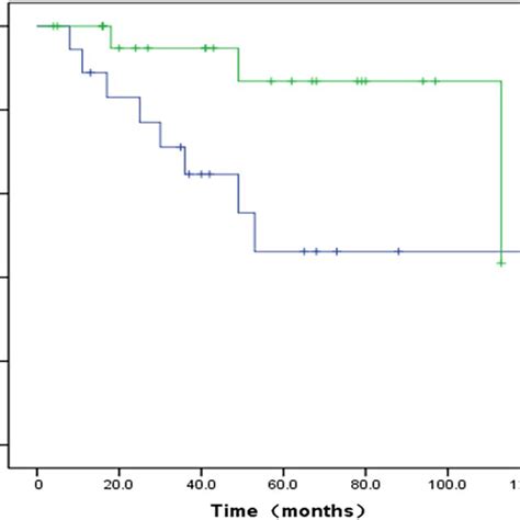 Kaplanmeier Curves Showing Disease‐free Survival Dfs According To Download Scientific