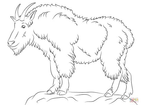 Mountain Goat Coloring Pages