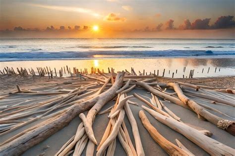 Premium AI Image Driftwood On A Beach At Sunset