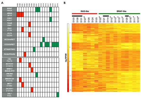 Point Mutations Gene Fusions And Gene Expression Signatures In