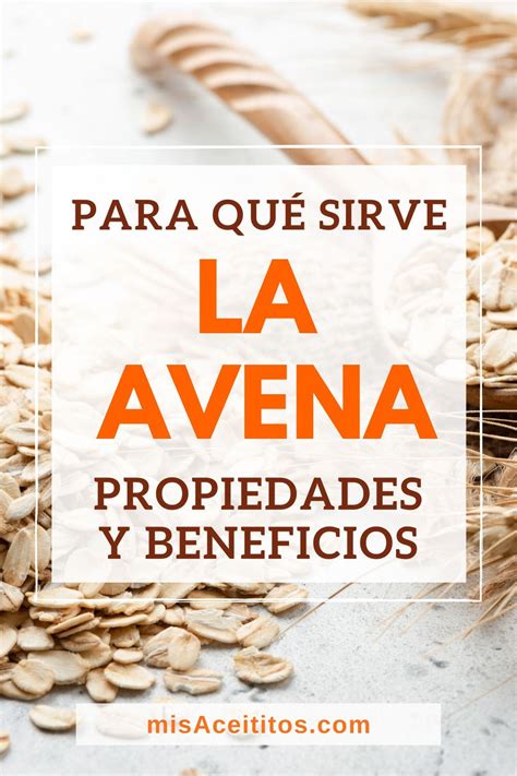 Avena Beneficios Propiedades Y Cómo Preparar Artofit