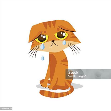 Sad Crying Cat Cartoon Vector Illustration Crying Cat Meme向量圖形及更多家貓圖片 Istock