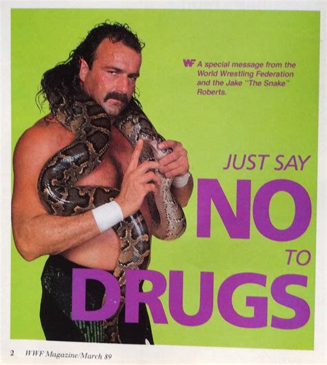 WWF PSA Ad Scott S Blog Of Doom