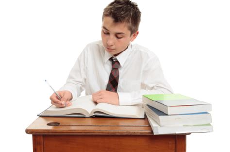 Conscientious School Boy Student Student Learning Pen Pupil Png