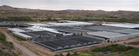 Masson Farms Facility Masson Farms Of New Mexico