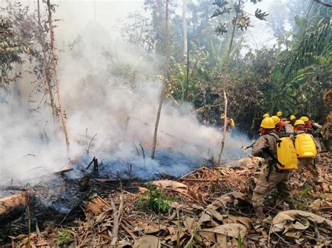 Abi Registran 107 Focos De Calor Y La Reactivación De Cuatro