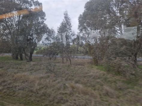 Horny Bottom Needs Breeding Canberra