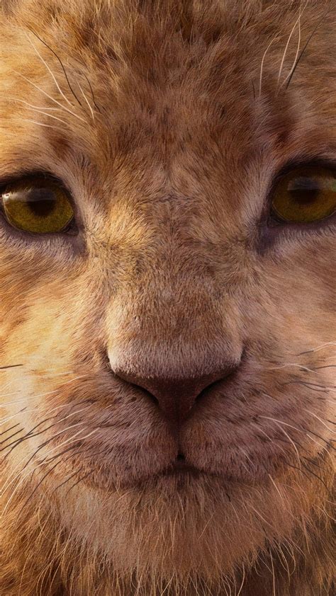 The Lion King 2019 Nala HD Phone Wallpaper Pxfuel