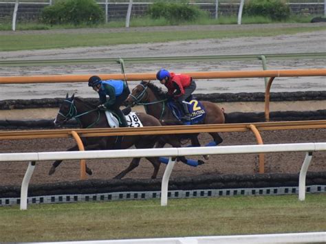 ヴィクティファルス、日本ダービー1週前追い切り速報栗東トレセンニュース 競馬ニュース Netkeiba