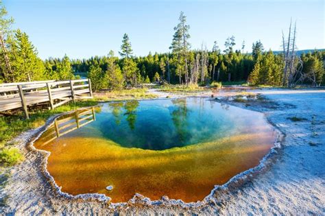 Premium Photo Colorful Morning Glory Pool Famous Hot Spring In The Yellowstone National Park