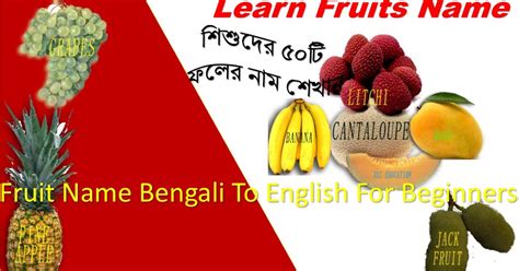 Fruit Name Bengali To English For Beginnersfruits Name List৫০টি ফলের নাম