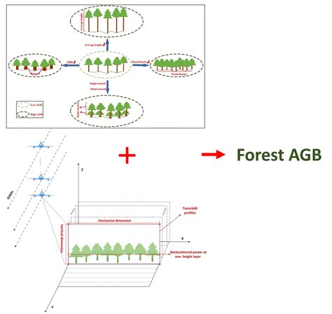 Forest Aboveground Biomass Estimation Using Multi Features Extracted By