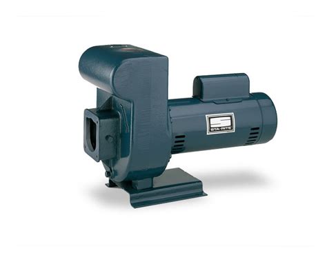 Pentair Sta Rite D Series Medium Head Centrifugal Pumps Sta Rite