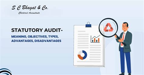 Statutory Audit Objectives Types Advantages Disadvantages