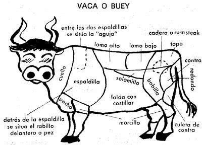 Partes De La Vaca Y De Donde Viene Cada Corte Rey Parrillero San Luis