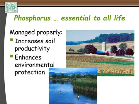 Ppt Terry L Roberts Potash And Phosphate Institute Potash And Phosphate