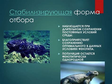 Естественный отбор – главная движущая сила эволюции - презентация онлайн