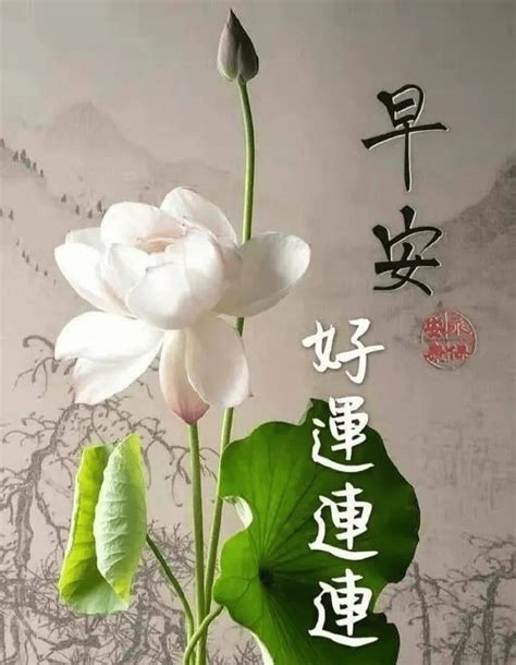 早安吉祥：朋友，愿你脸上永远洋溢着幸福的笑容，早安 祝福