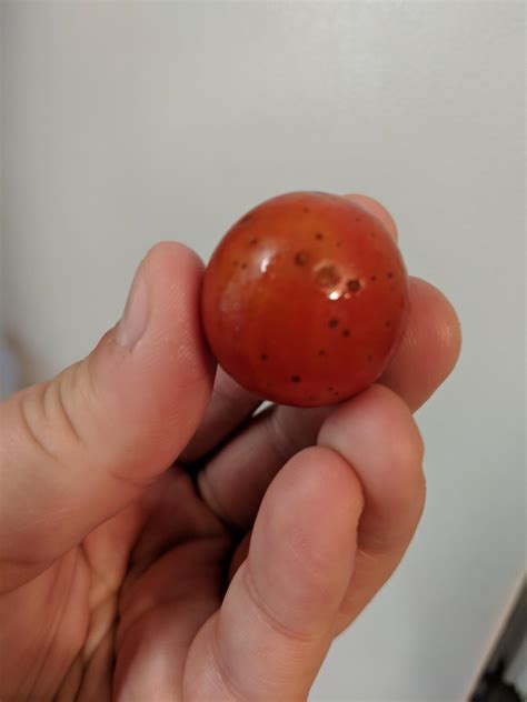 Black Dots On Homegrown Tomatoes Are They Safe To Eat R Gardening