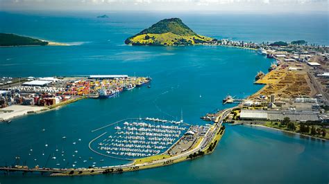 Tauranga: Where Business Meets Beach | Study With New Zealand