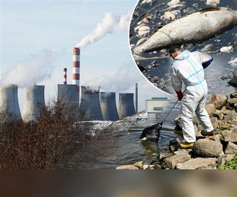 Zatruta Odra Raport Greenpeace Ścieki z kopalni na Górnym Śląsku