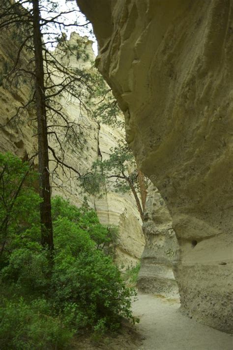 Canyon Path Stock Photo Image Of Narrow Canyon Trail 3297296