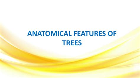 PDF WOOD ANATOMICAL FEATURES OF TREES