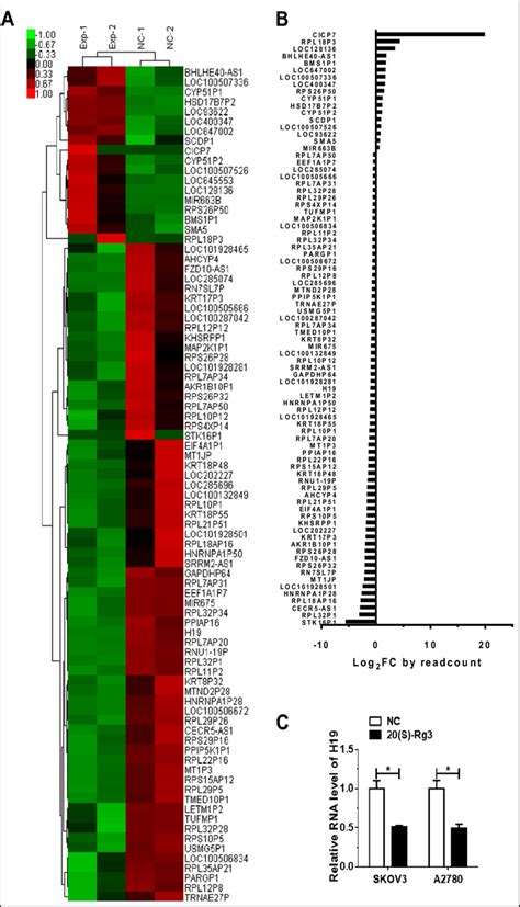 The expression patterns of 85 differentially expressed lncRNAs in ... 